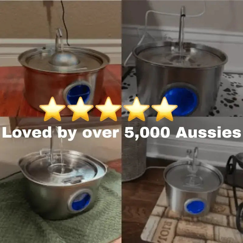 Dog Water Fountain product image 9