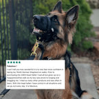 Dog Head Halter product image 9