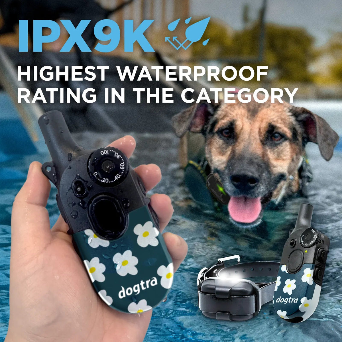 Dog Training Collar product image 9