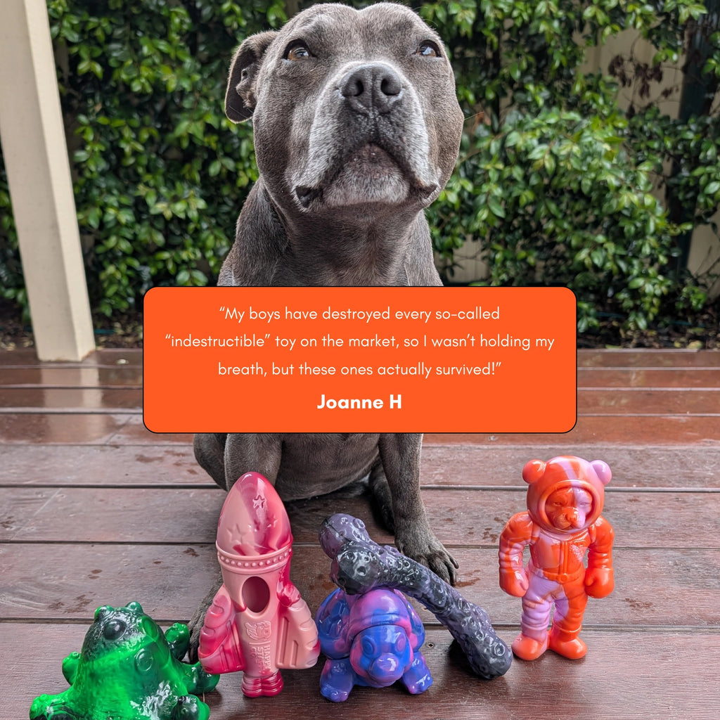 Dog Chew Toy Collection product image 9