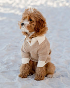 Dog Sweater product image 9