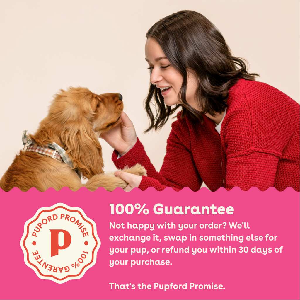 Freeze-Dried Dog Food product image 9