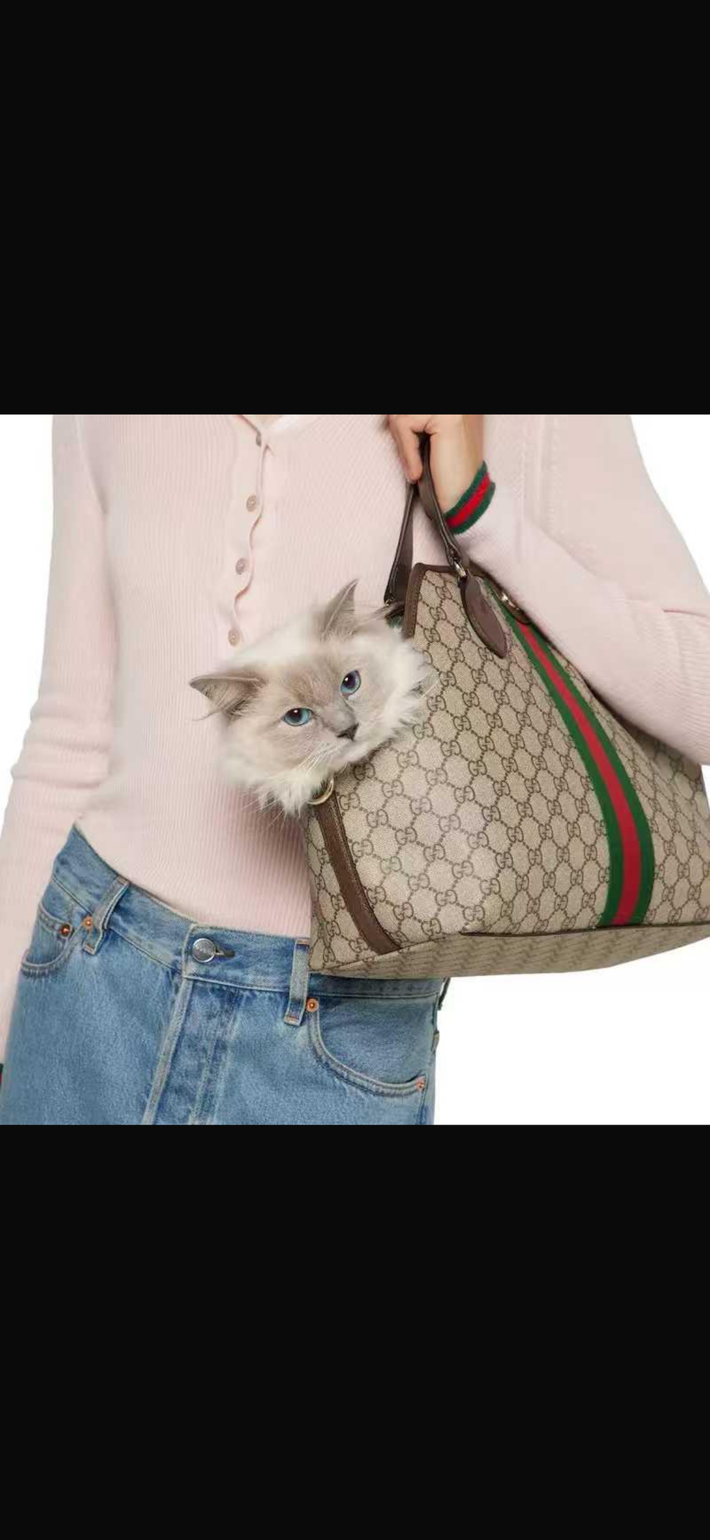 Small Dog Carrier Bag product image 9