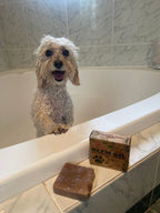 Dog Shampoo Bar product image 9