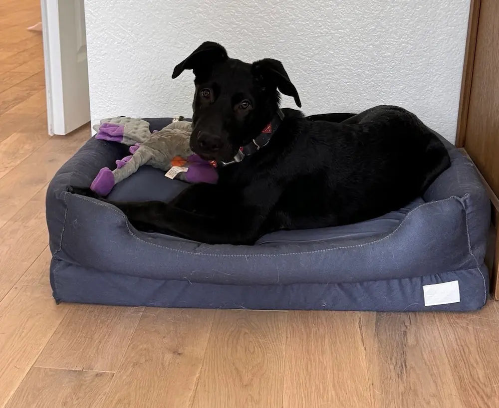 Orthopedic Dog Bed product image 9