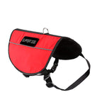 Emotional Support Dog Package product image 9