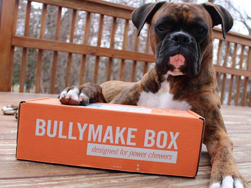 Dog Toy Box product image 9
