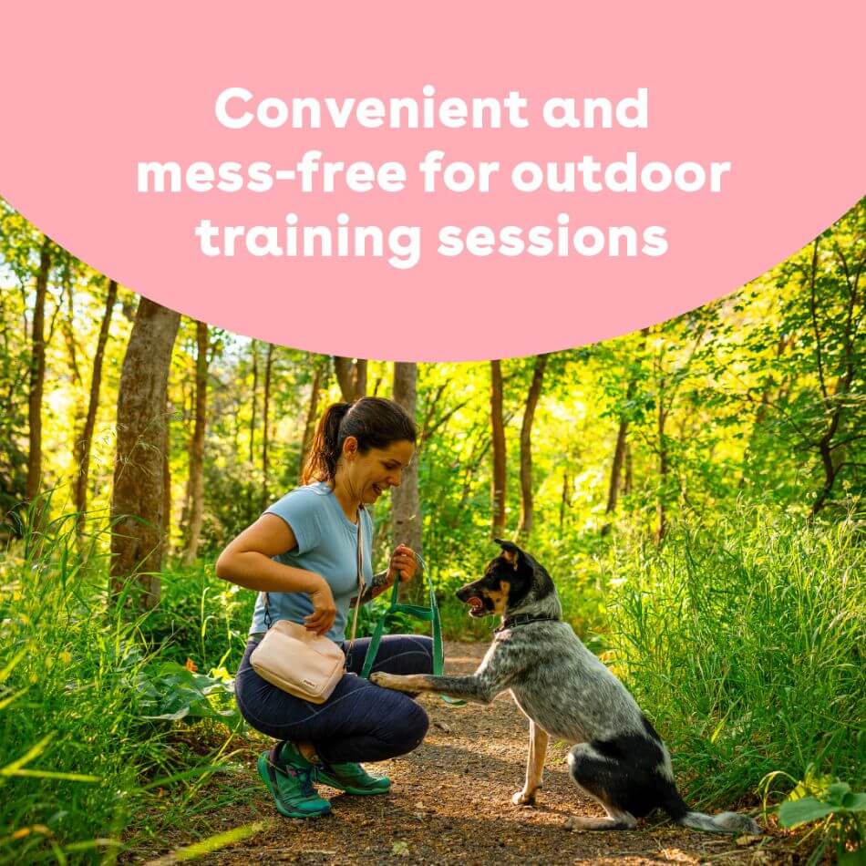 Dog Training Treats product image 9