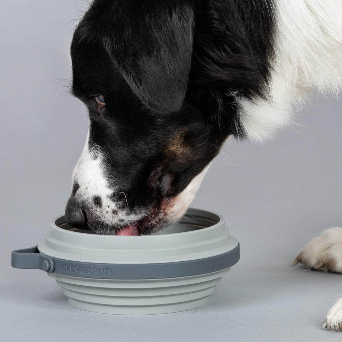 Travel Dog Bowl product image 9