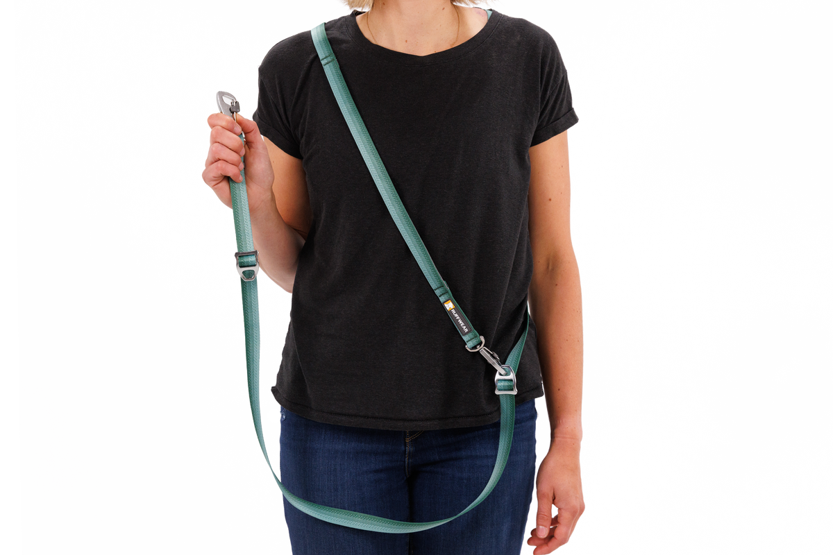 Adjustable Double-Ended Dog Leash product image 39