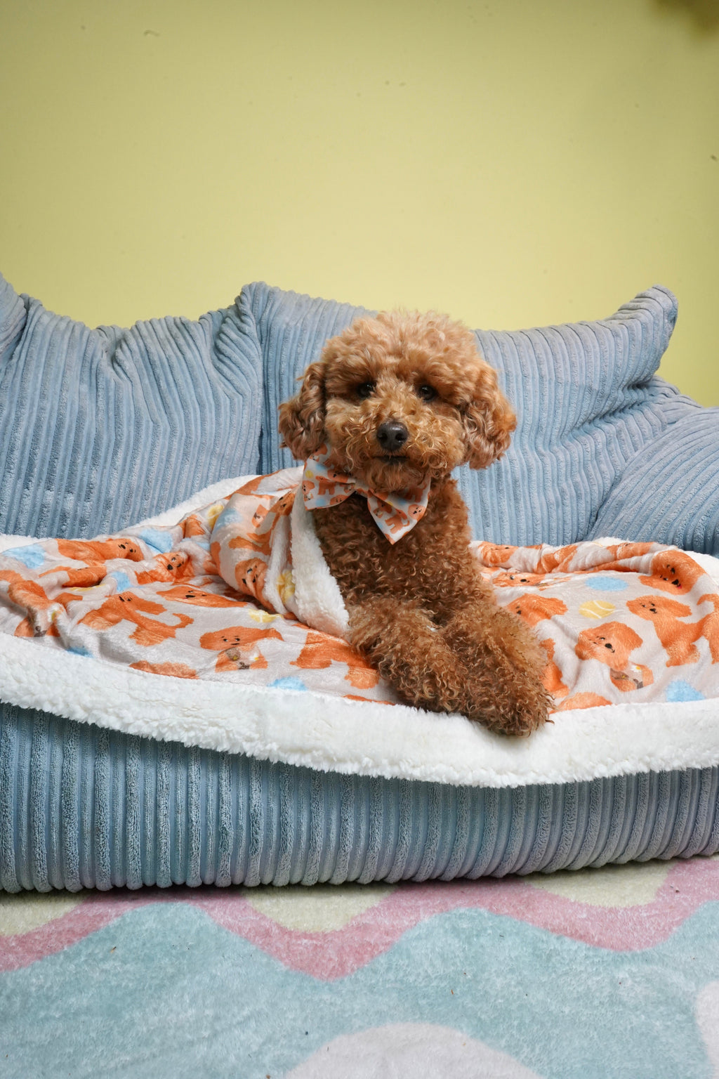 Curly-Print Dog Blanket Default Title
