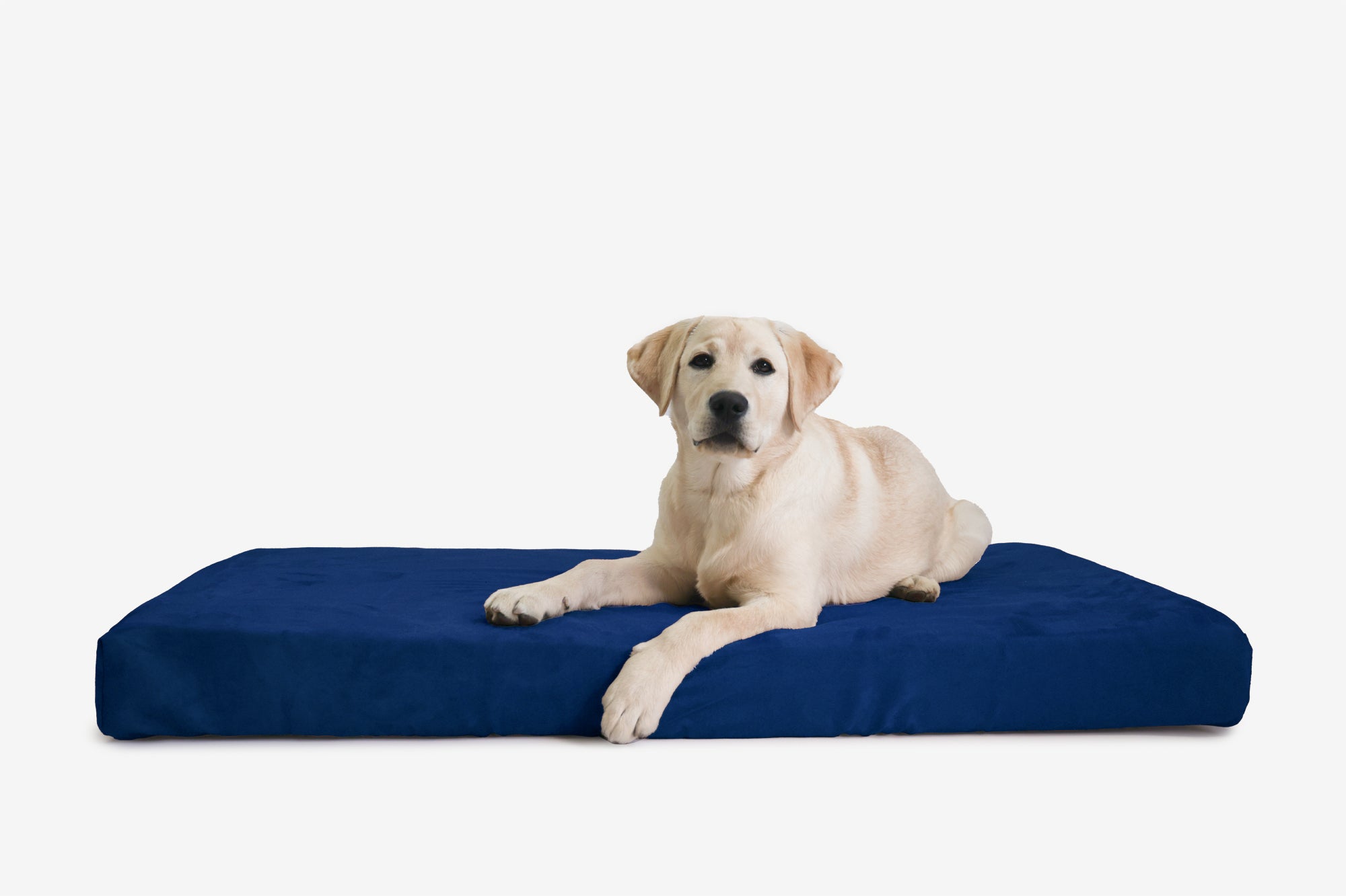 Orthopedic Dog Crate Bed product image 28
