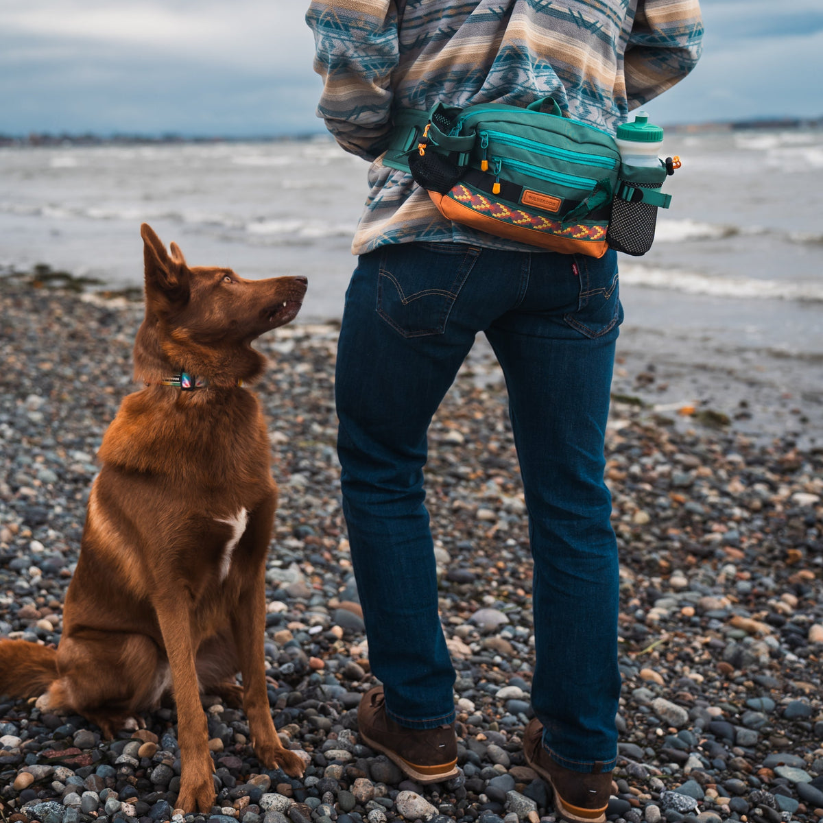 Dog Walking Hip Pack product image 9