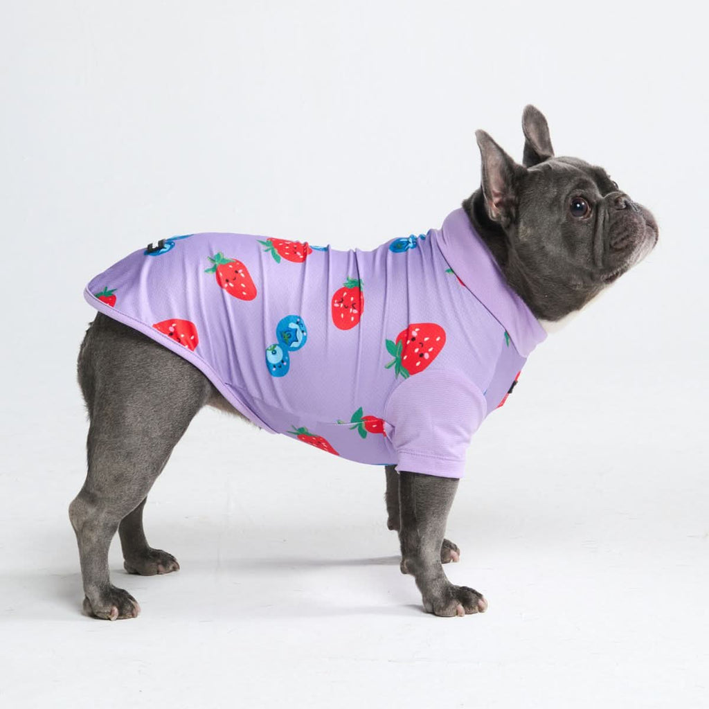 UPF 30 Printed Dog Sun Shirt product image 29