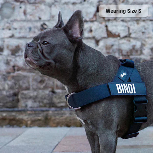 Adjustable Grab-Handle Dog Harness product image 80