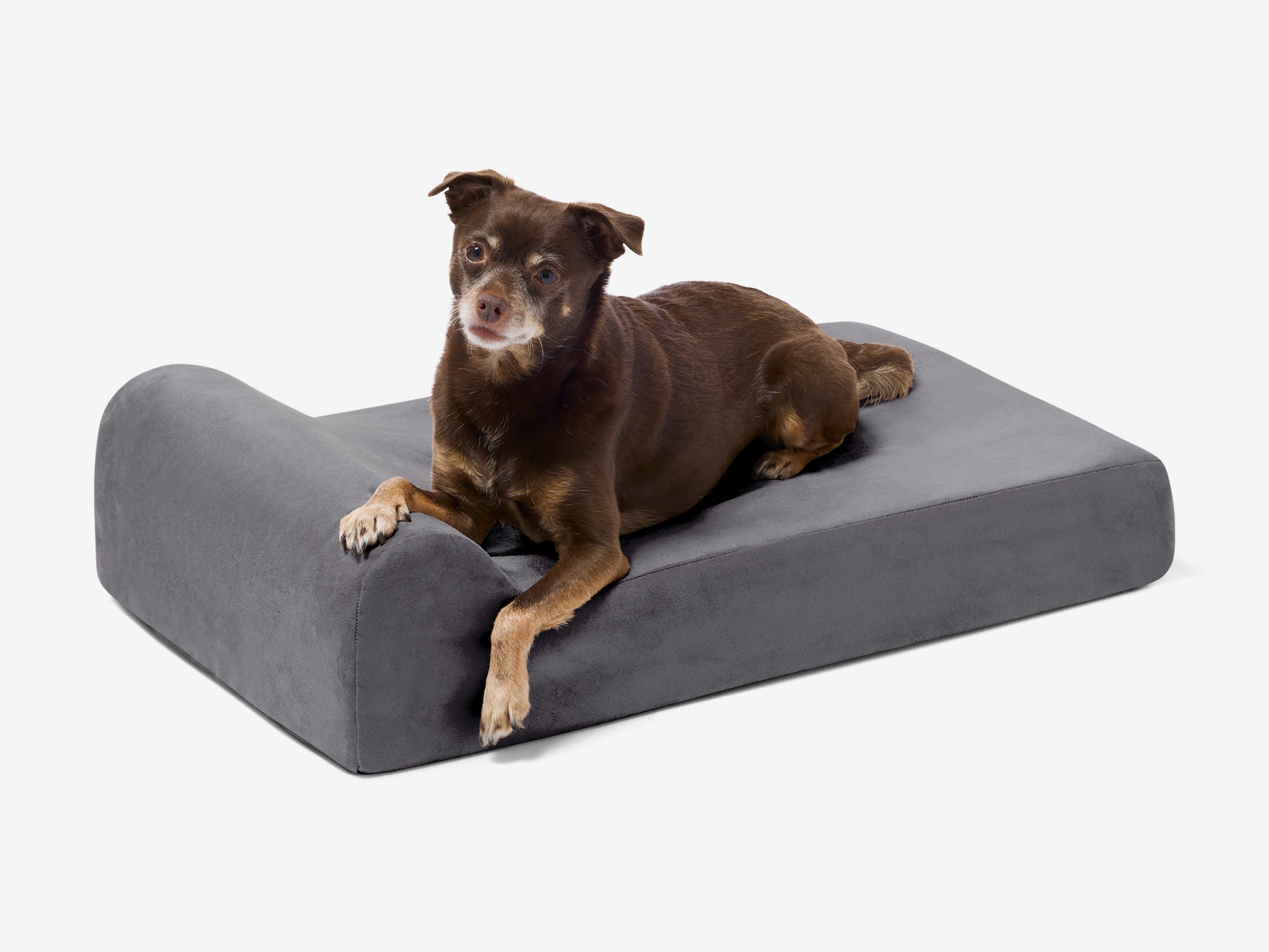 Orthopedic Dog Bed for Small and Medium Dogs, 4-Inch Layered Foam in Headrest and Sofa Styles source image 10