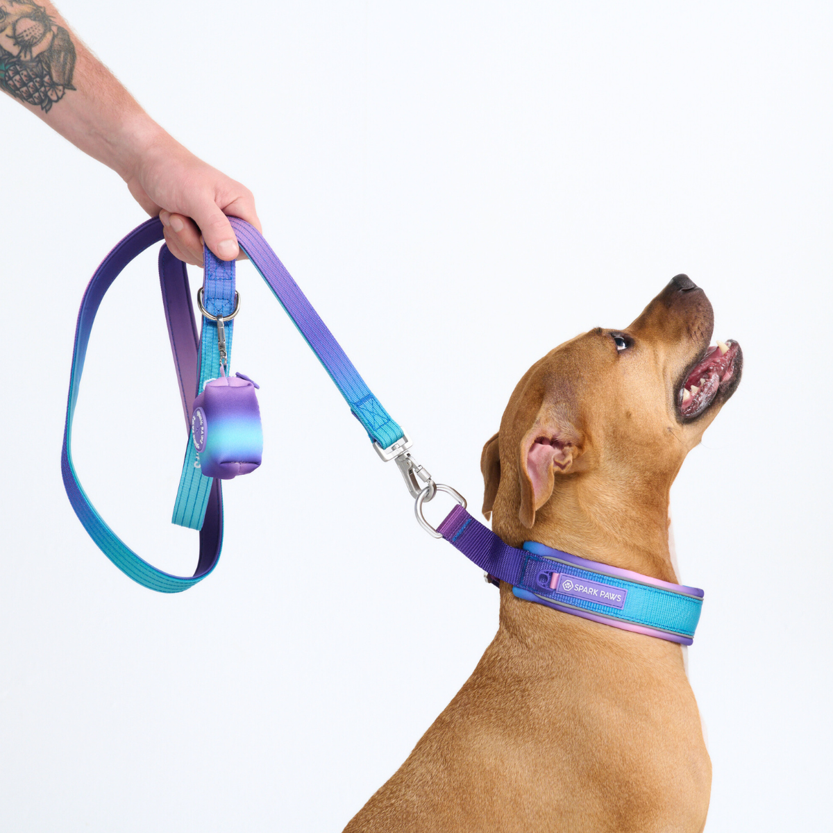 Cushioned Martingale Dog Collar for Gentle Leash Guidance, Limited-Cinch Design in Five Sizes source image 10