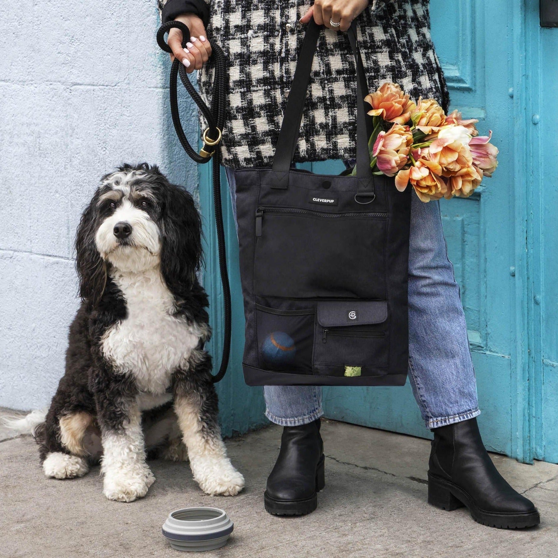 Dog Gear Tote Bag for Organized Park Trips and Travel, Designed in Four Everyday Colors for Daily Outings source image 10