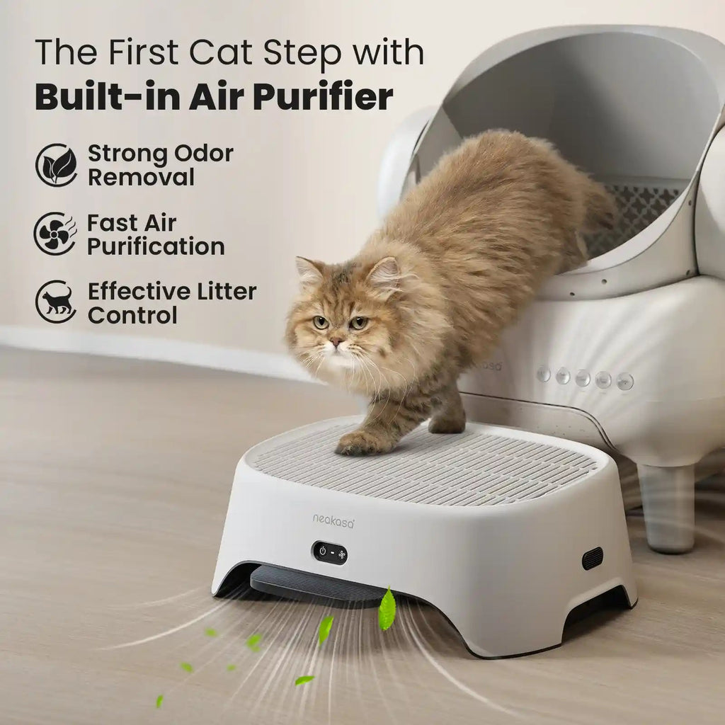 Open-Top Self-Cleaning Cat Litter Box, App-Connected Waste System with Safety Sensors for Cats up to 33 lb source image 10