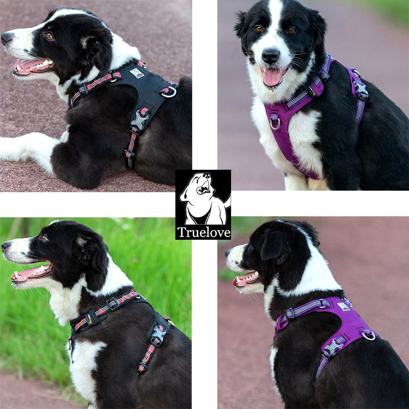 Lightweight No Pull Dog Harness, Reflective Adjustable Walking Vest in Three Colors and XXS to XL Sizes source image 10