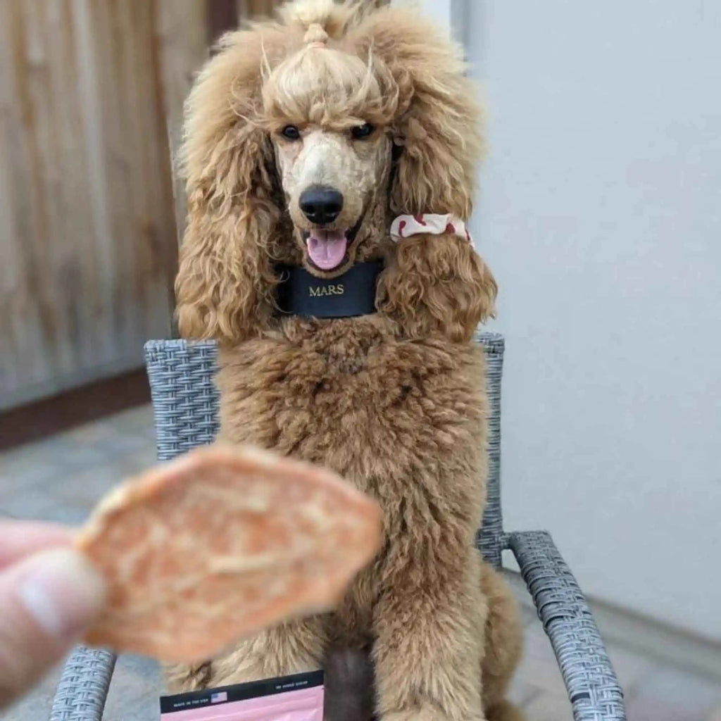 Single-Ingredient Sweet Potato Dog Treats, USA-Made Low-Fat Chews in One, Two or Three Bag Packs source image 10