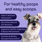 Dog Allergy and Digestive Supplement Bundle, Soft Chews for Seasonal Comfort and Everyday Gut Support source image 10