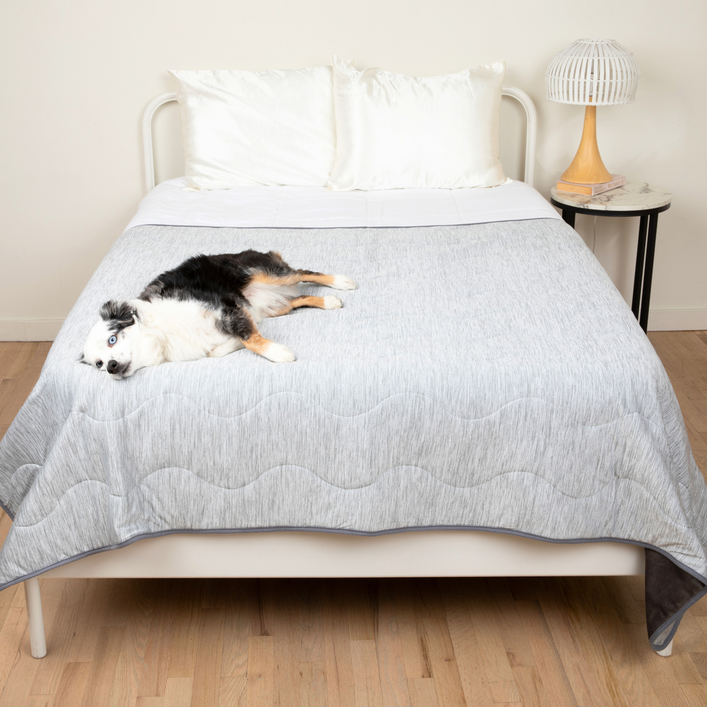 Cooling Waterproof Dog Blanket in Arctic Grey for Indoor Comfort and Furniture Protection, Two Sizes source image 10