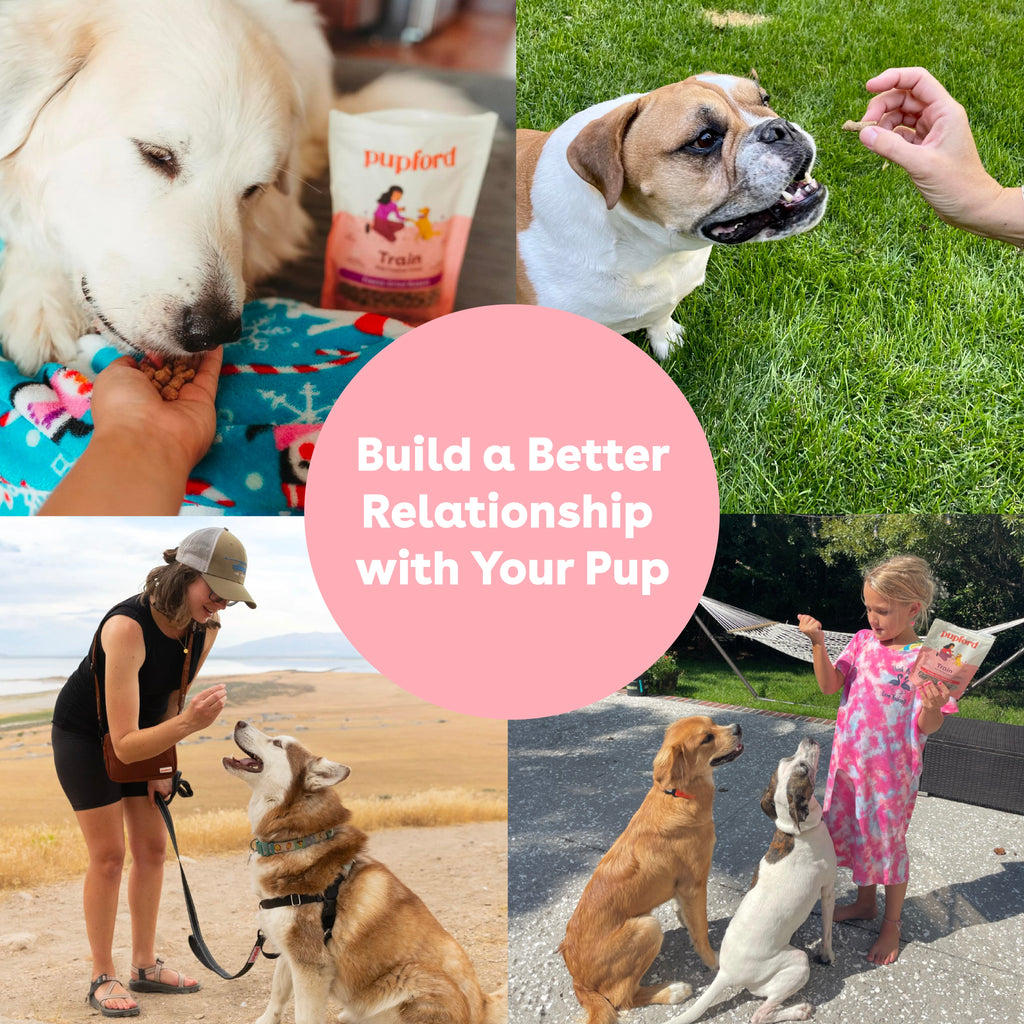 Freeze-Dried Rabbit Dog Training Treats, Low-Calorie Crunchy Rewards in Four Package Sizes source image 10