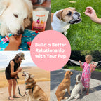 Freeze-Dried Rabbit Dog Training Treats, Low-Calorie Crunchy Rewards in Four Package Sizes source image 10