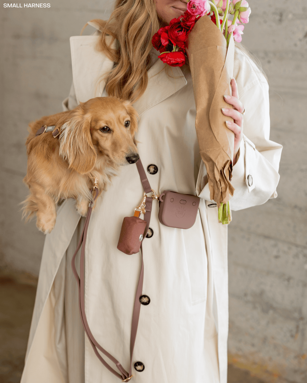 Hands-Free Dog Leash in Espresso Brown, Four Convertible Carry Modes in Standard and Wide Widths source image 10