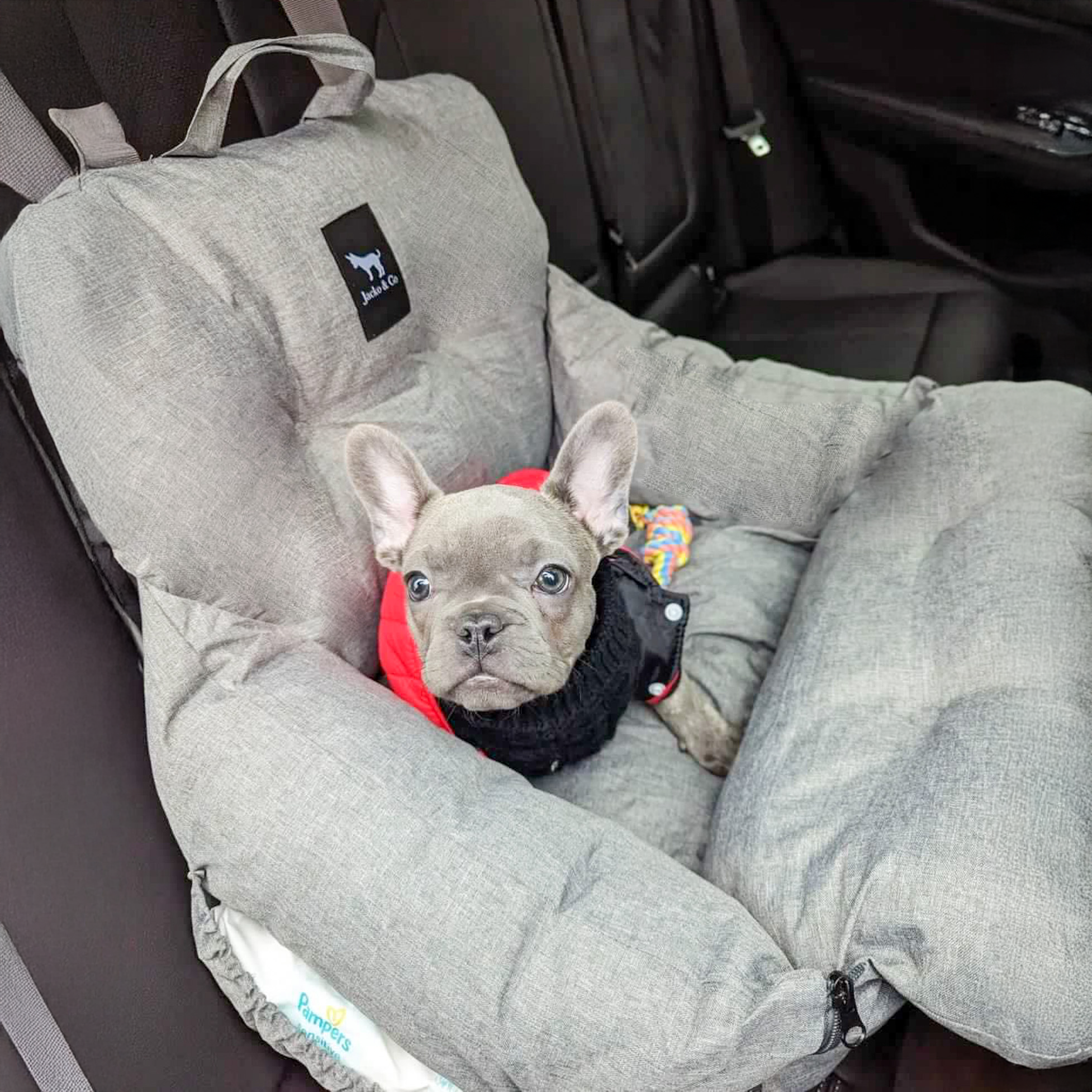 Pet Car Seat and Carrier for Dogs or Cats up to 25 lb, Water-Resistant Oxford Seat with Removable Cushion source image 10