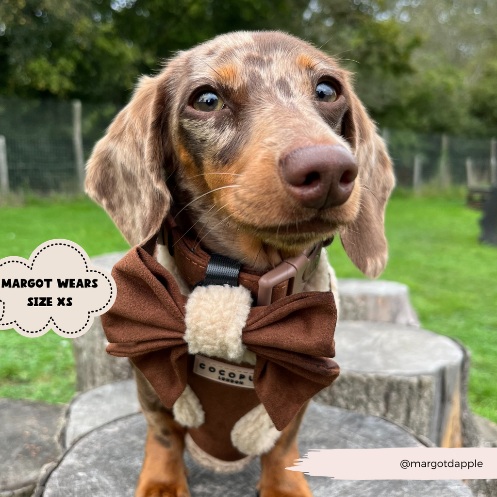 Adjustable Neck Dog Harness, Brown Faux Suede Walking Vest with Soft Fluffy Trim in XXS to Large Sizes source image 10