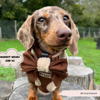 Adjustable Neck Dog Harness, Brown Faux Suede Walking Vest with Soft Fluffy Trim in XXS to Large Sizes source image 10