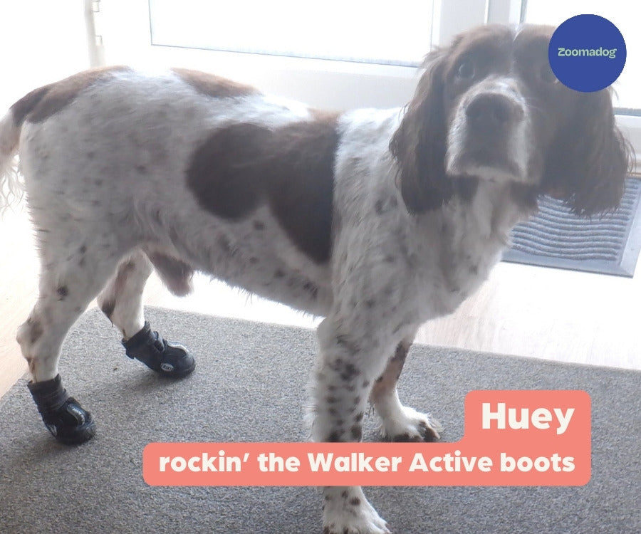 Non-Slip Dog Walking Boots, Two-Piece Paw Protection Pair with Reflective Strips and Secure Velcro Fit source image 10