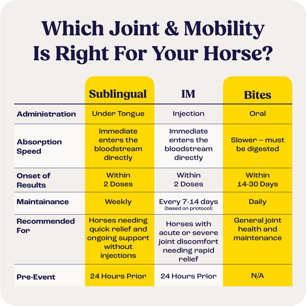 Horse Joint Mobility Supplement Bites for Daily Feed Support Using Liposomal Delivery Technology product image 10