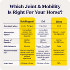Horse Joint Mobility Supplement Bites for Daily Feed Support Using Liposomal Delivery Technology product image 10