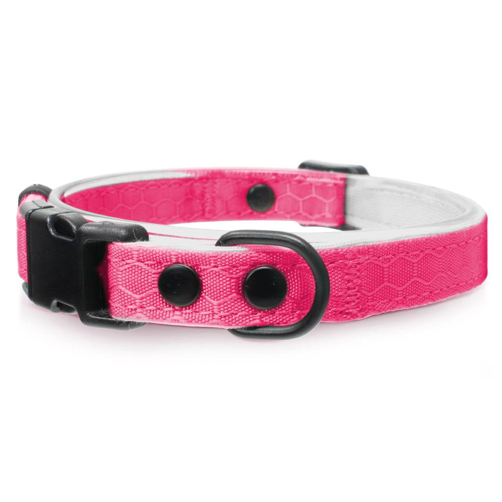 Breakaway Cat Collar product image 10