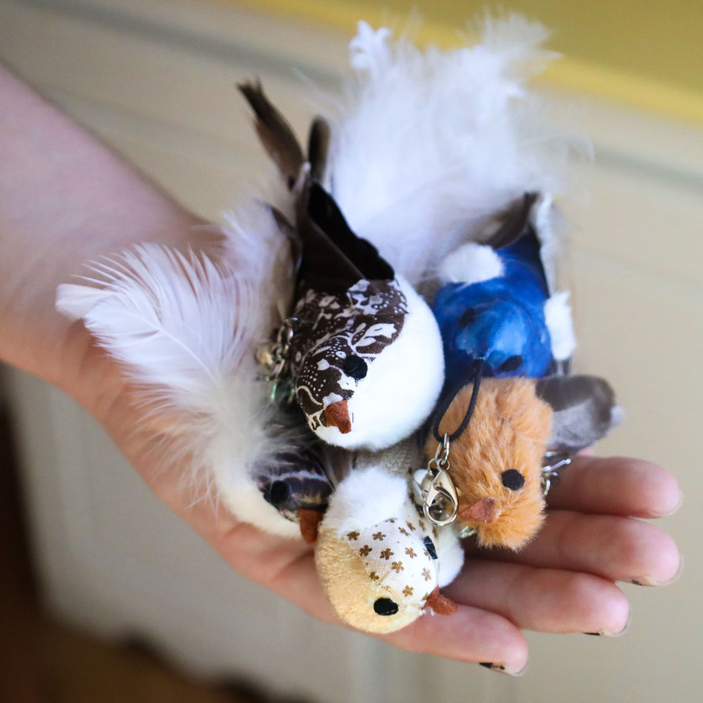 Interactive Bird Cat Toy Bundle, Weighted Base and Suction Cup Set with Five Realistic Attachments for Hunting Play source image 10