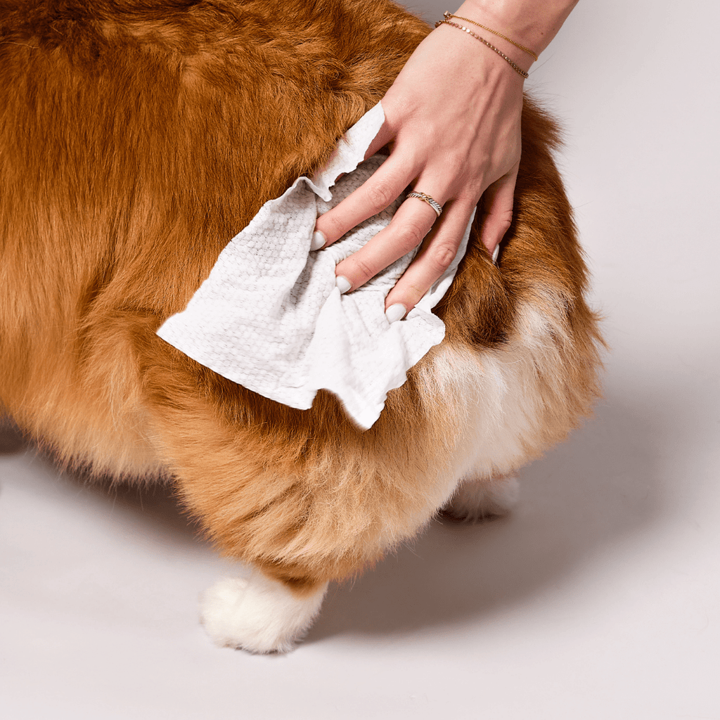 Extra Large Dog Grooming Wipes for Paws, Fur and Skin, Convenient Cleanup Between Regular Baths source image 10