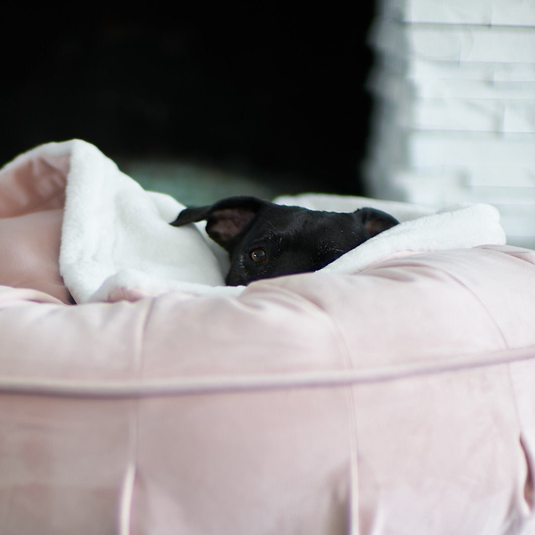 Round Orthopedic Velvet Dog Bed product image 10