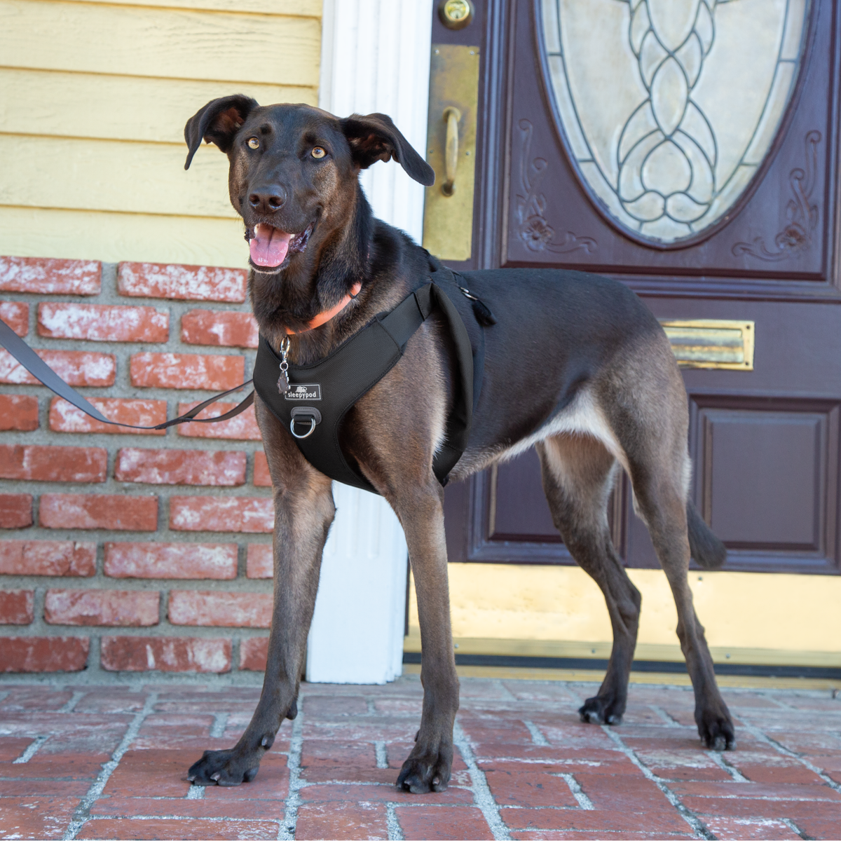 Crash-Tested Dog Car Safety Harness product image 10