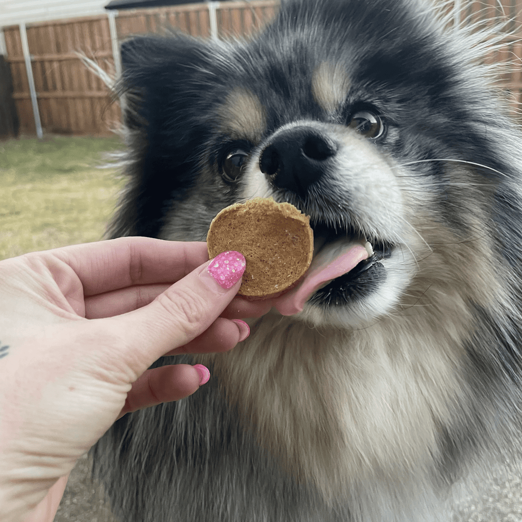 Walleye Fish Chip Dog Treats product image 10