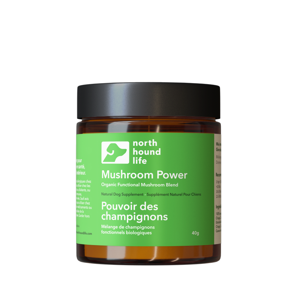Five-Mushroom Dog Food Topper 40 g