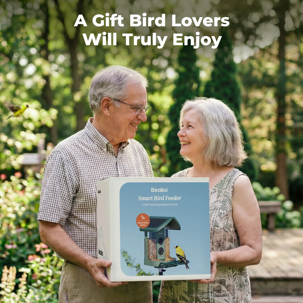Smart Bird Feeder product image 10