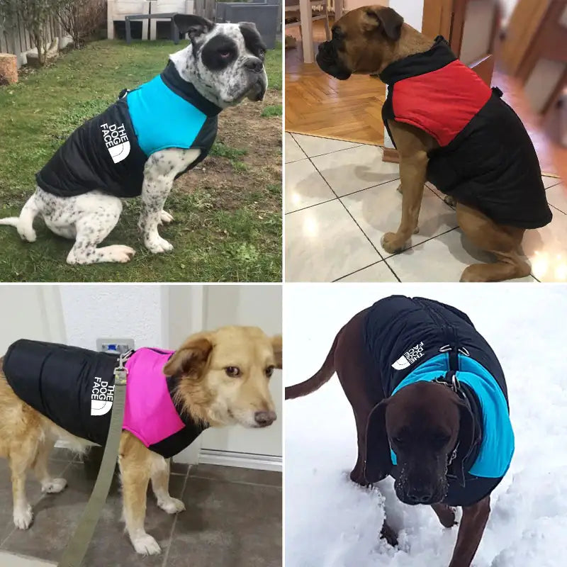 Dog Winter Vest product image 10