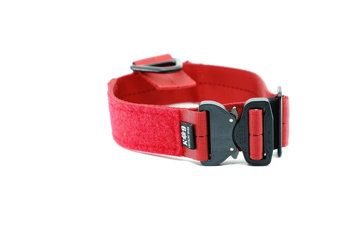 Dog Collars product image 10