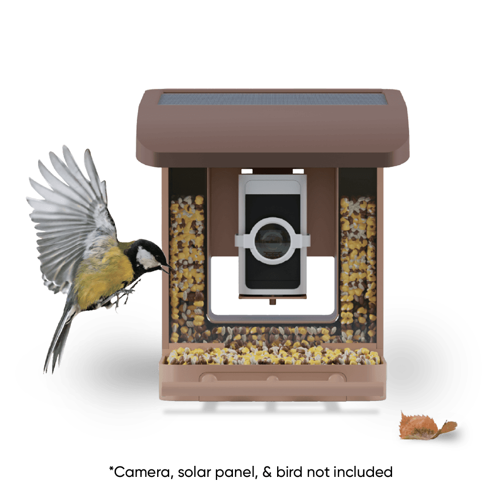 Bird Feeder product image 10