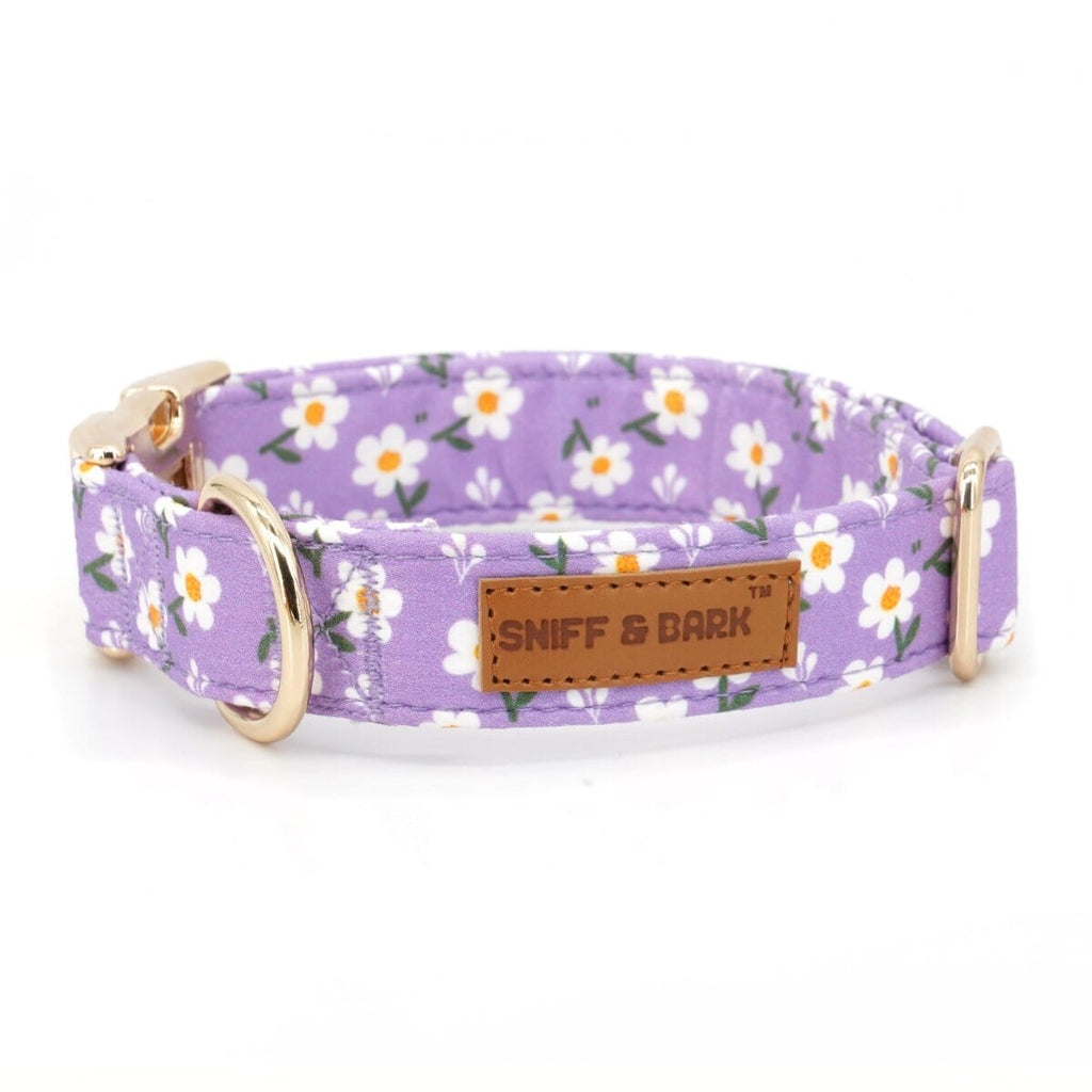 Dog Collar product image 10