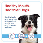 Dog Dental Water Additive product image 10