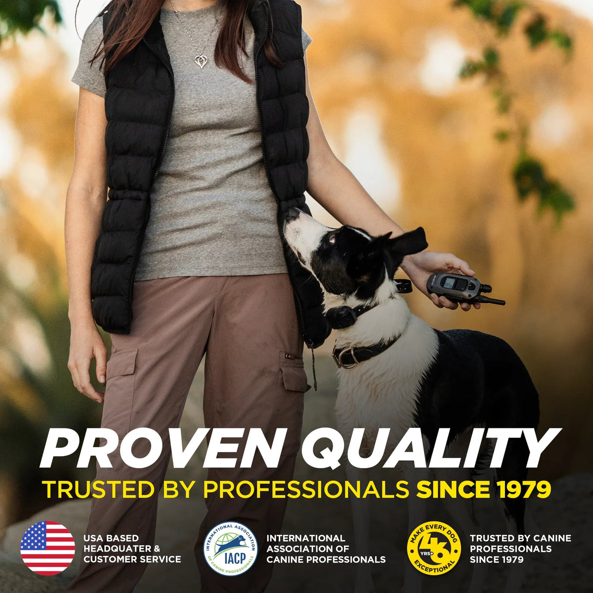 Dog Training Collar product image 10